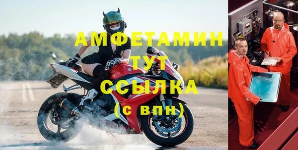 ГАЛЛЮЦИНОГЕННЫЕ ГРИБЫ Вязьма